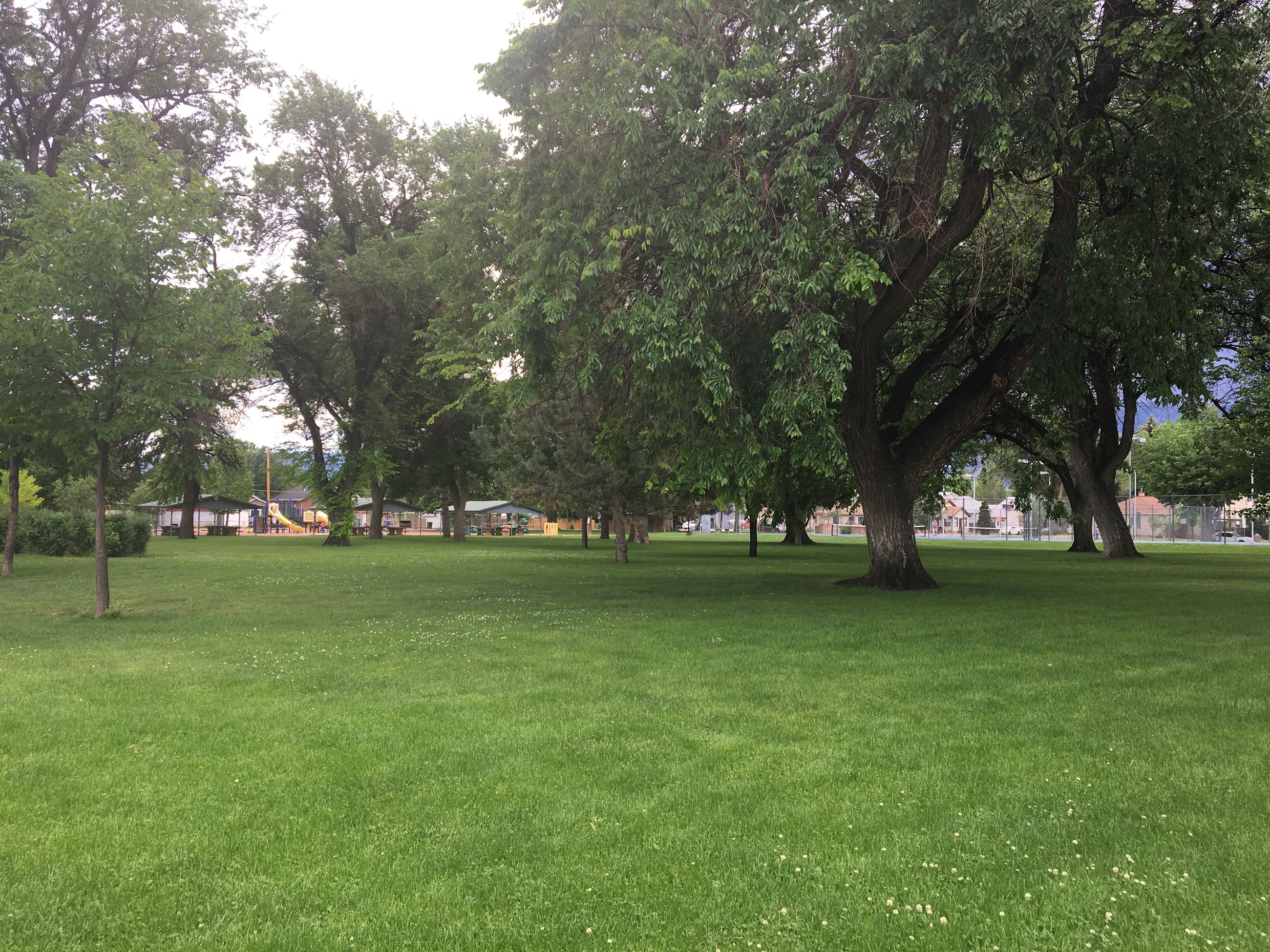 Rudd Park Green