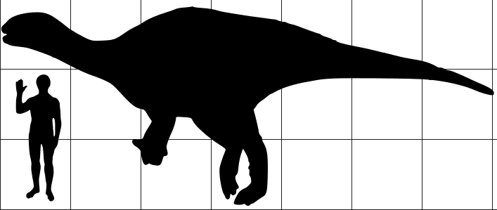 Simple graphic of a scale of a Camptosaurus dinosaur with that of average person.