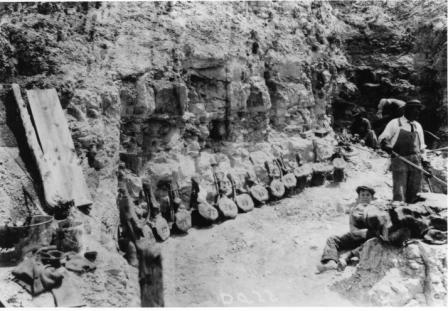 Black and white image of dinosaur vertebrae found by DeWeese.